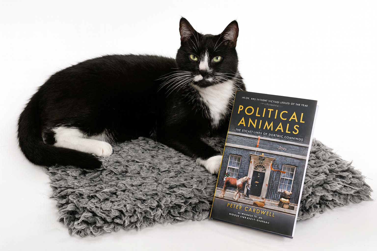 Peter Cardwell Peter Cardwell